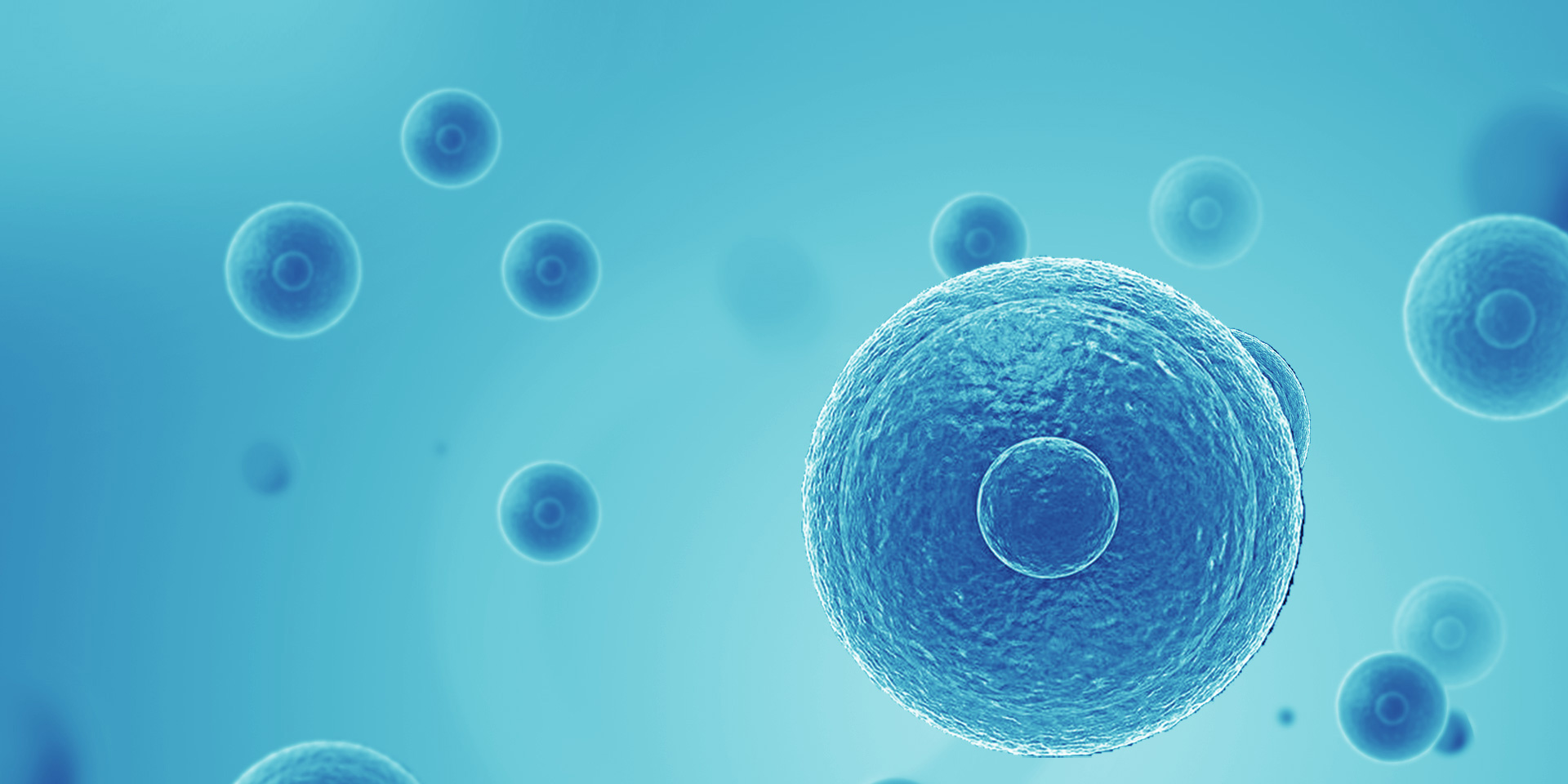 引領(lǐng)生物科技，創(chuàng)造健康生活！