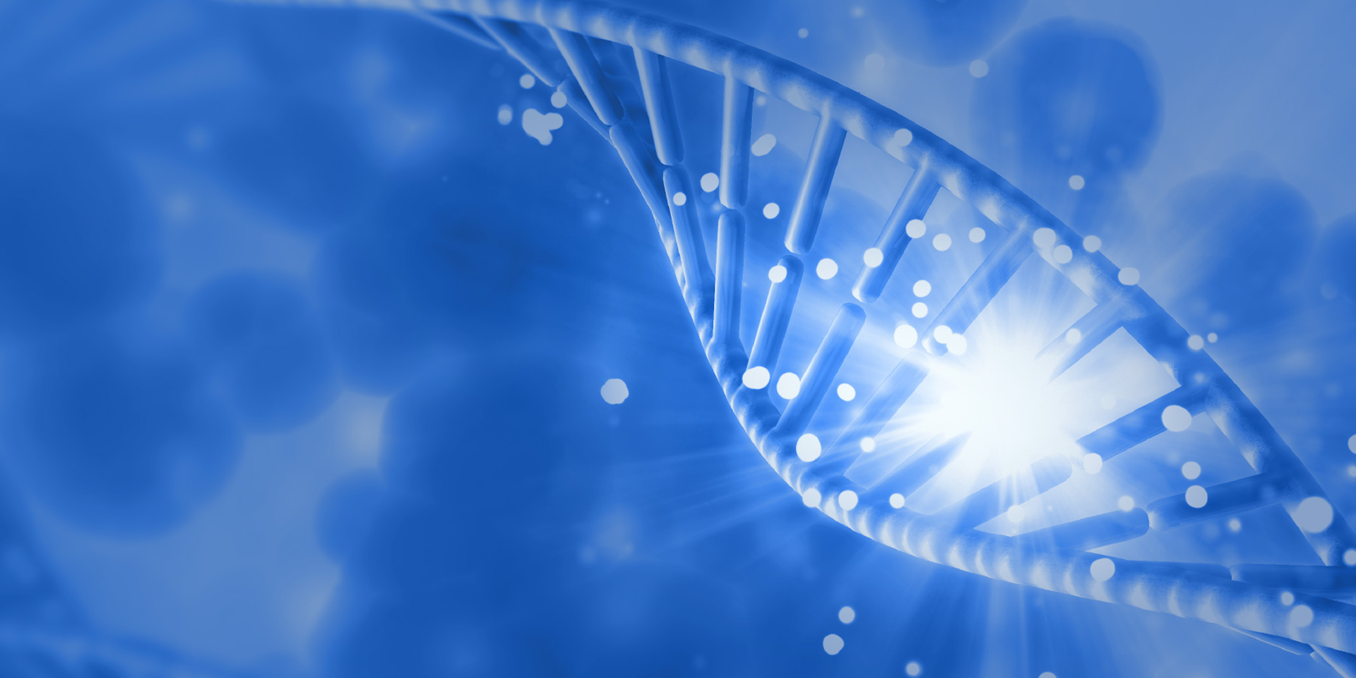 引領(lǐng)生物科技，創(chuàng)造健康生活！